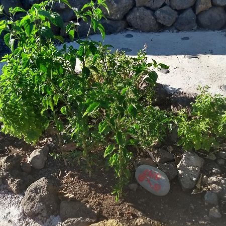 Finca Primavera 엘파소 외부 사진
