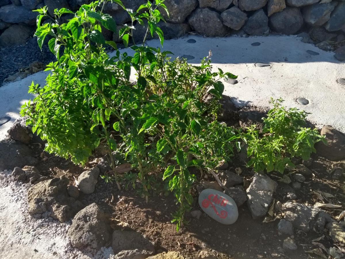 Finca Primavera 엘파소 외부 사진