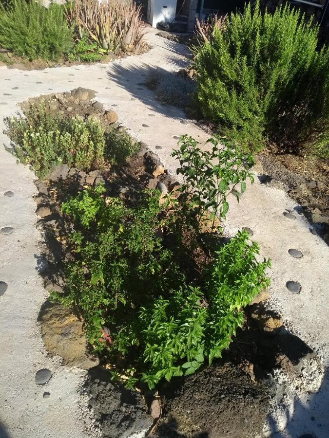 Finca Primavera 엘파소 외부 사진